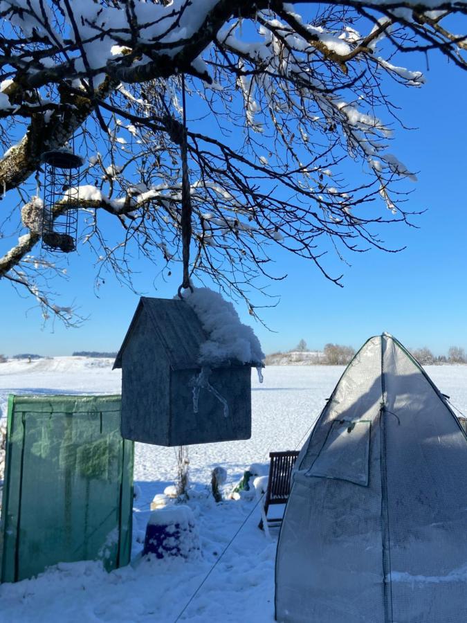 Homestay Blaue Haus - Ein Sommertraum Und Ein Wintermaerchen