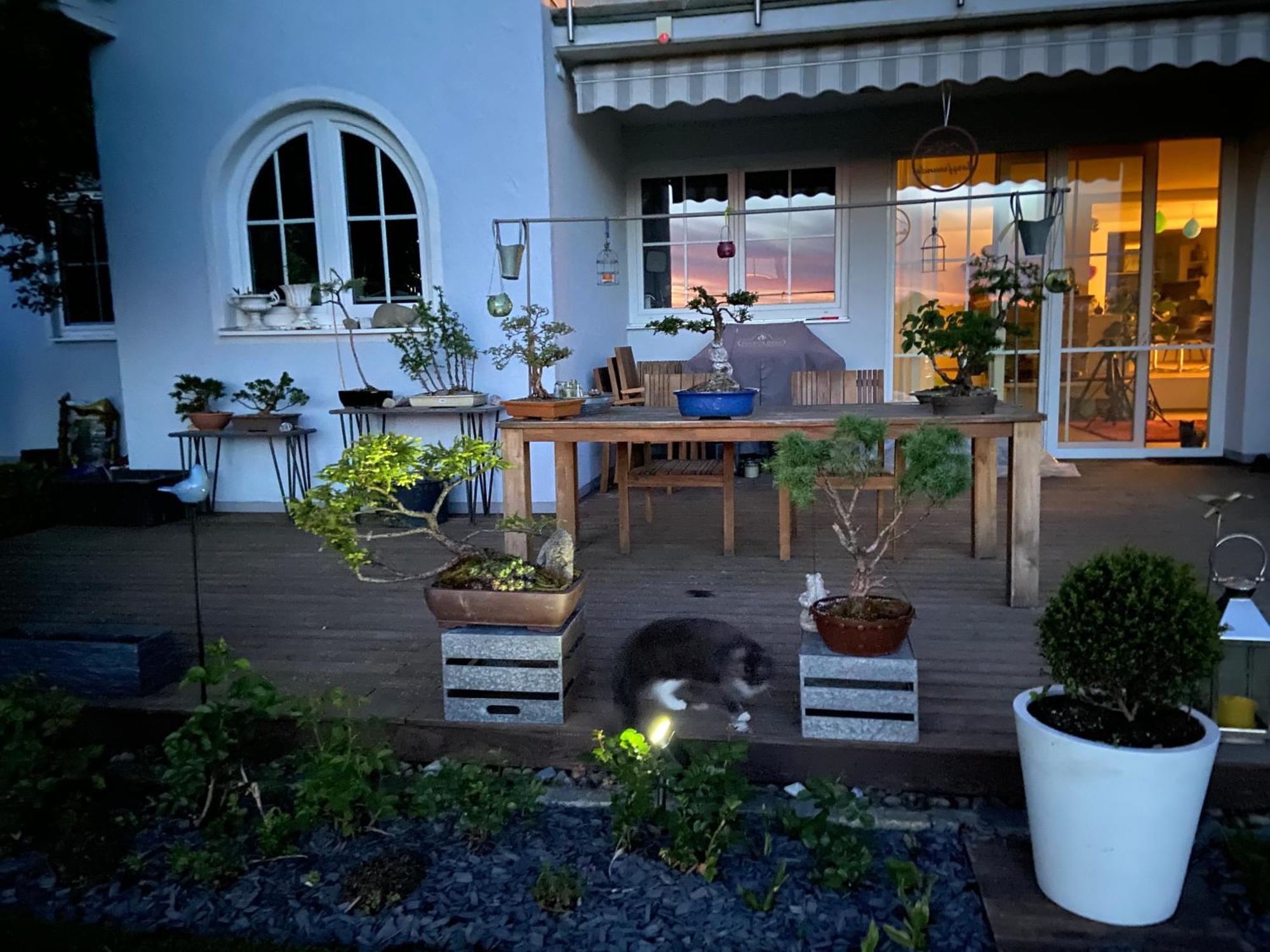 Homestay Blaue Haus - Ein Sommertraum Und Ein Wintermaerchen