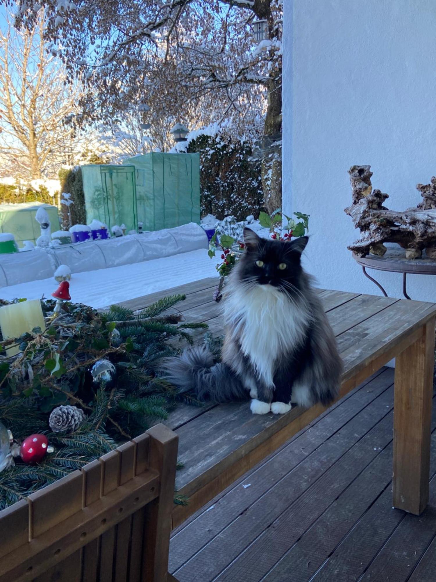 Homestay Blaue Haus - Ein Sommertraum Und Ein Wintermaerchen Weiler-Simmerberg