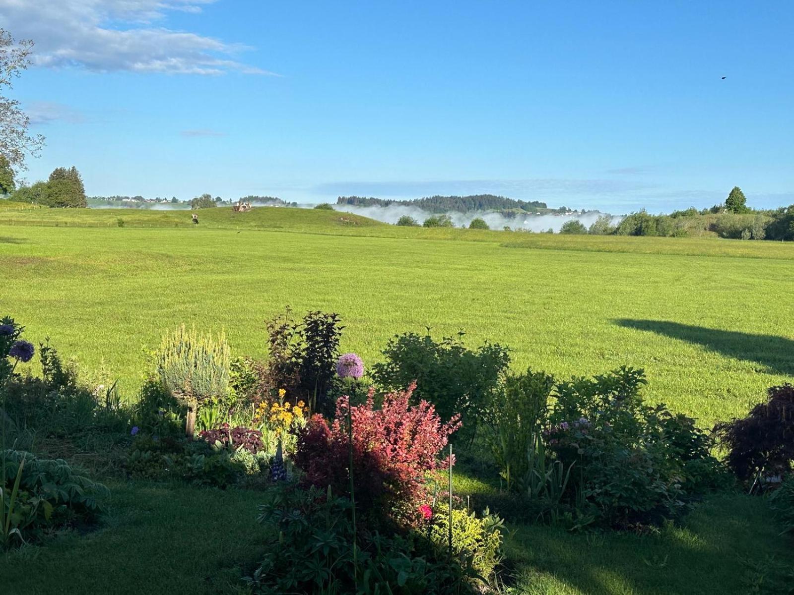 Homestay Blaue Haus - Ein Sommertraum Und Ein Wintermaerchen *