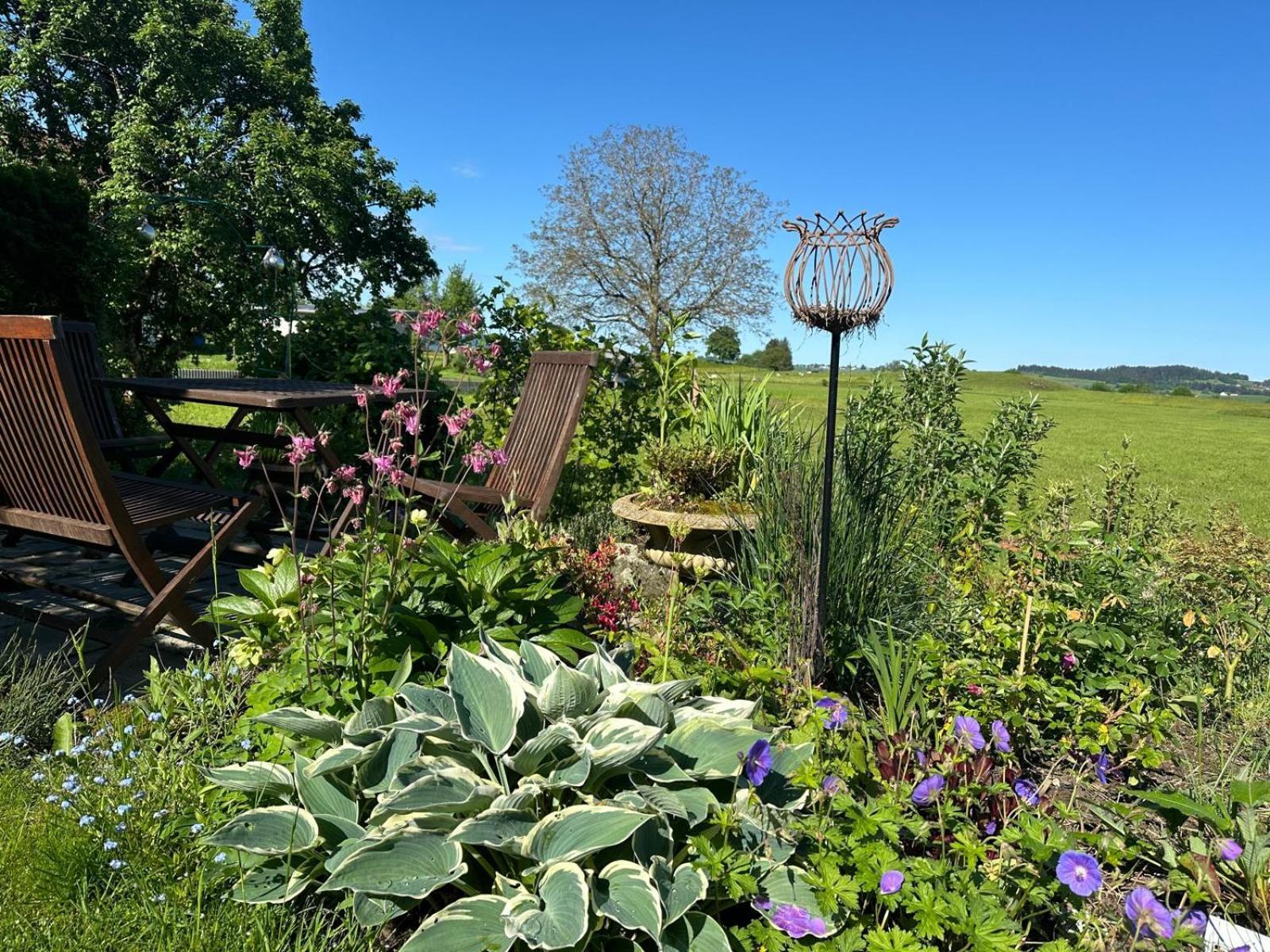 Homestay Blaue Haus - Ein Sommertraum Und Ein Wintermaerchen *